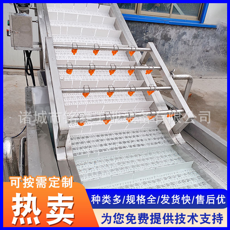 供应茼蒿苋菜气泡清洗机 蒸汽芦笋气泡清洗设备 果蔬清洗流水线