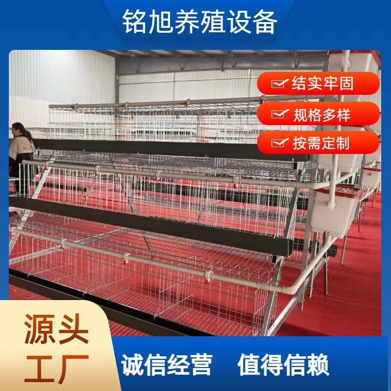 养殖场用三层四门绿槽蛋鸡笼设备冷/热镀锌多层阶梯式笼养鸡设备