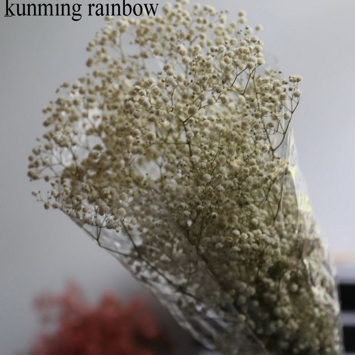 满天星 永生花满天星干花花束情人节礼物家居装饰满天星永生花