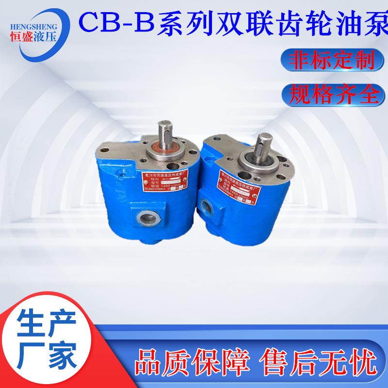 两进两出CB-B16/20 B10 B32 B80 B4 CB-B25/6双联润滑齿轮抽油泵