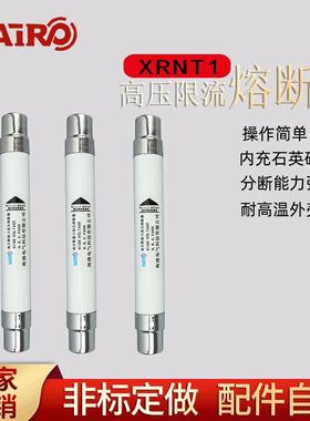 现货高压限流高分段能力熔断器XRNT-10KV户内高压柜插入式熔断管