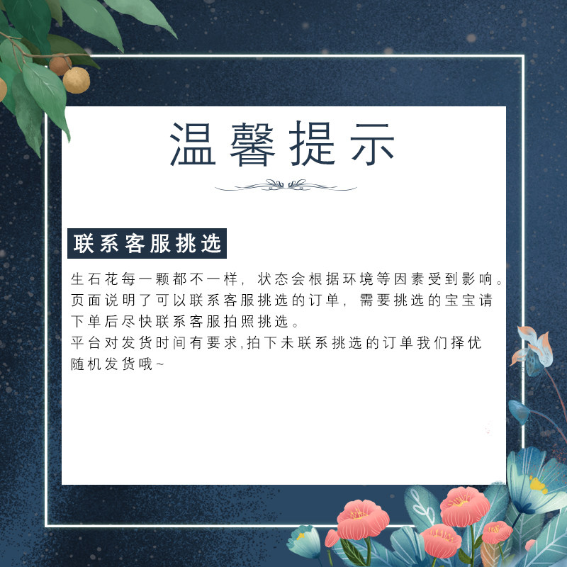 6年1808.4超级蛋糕橙蛋糕风铃母本番杏肉锥生石花屁股花爱萌多肉