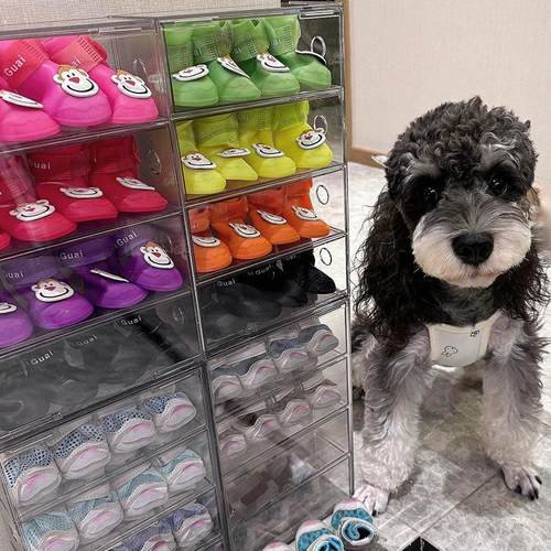 狗狗鞋子收纳盒狗狗用品整理鞋盒鞋柜收纳神器分类整理多格多功能