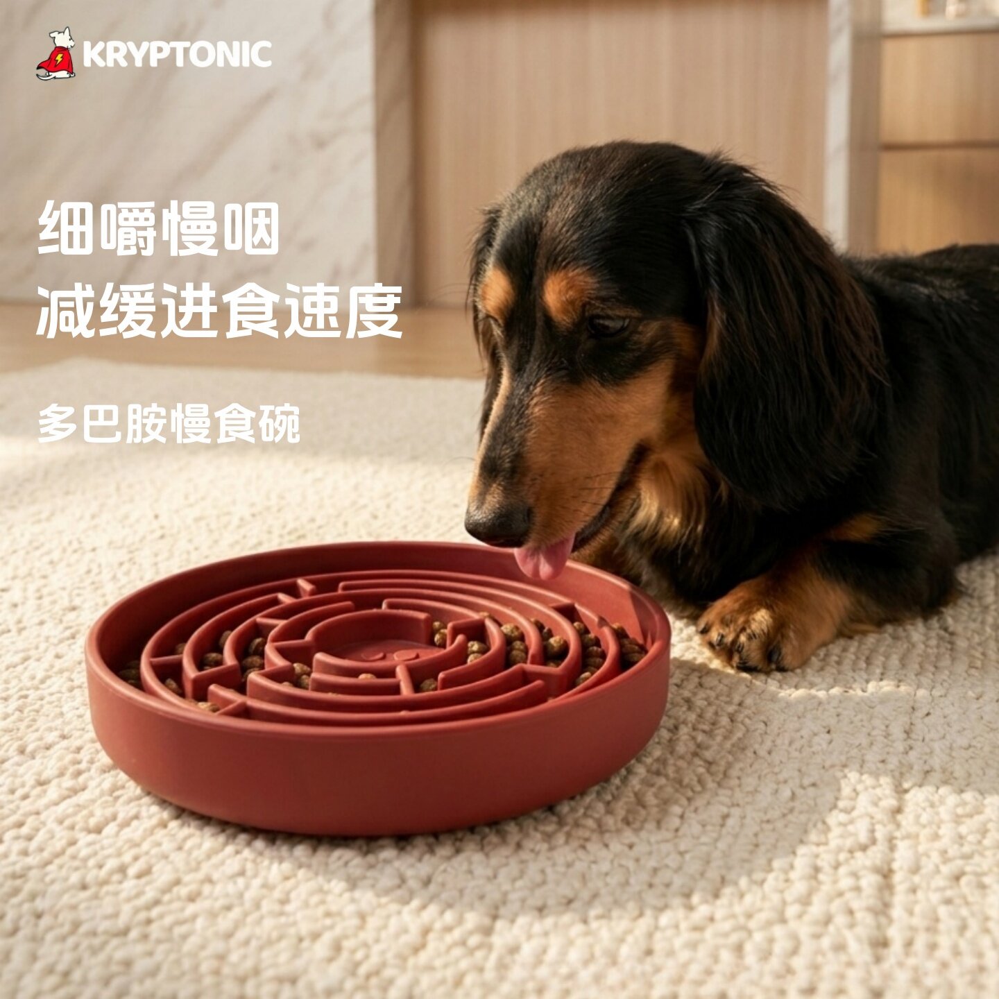 狗狗慢食碗硅胶狗碗中小型犬猫咪图片