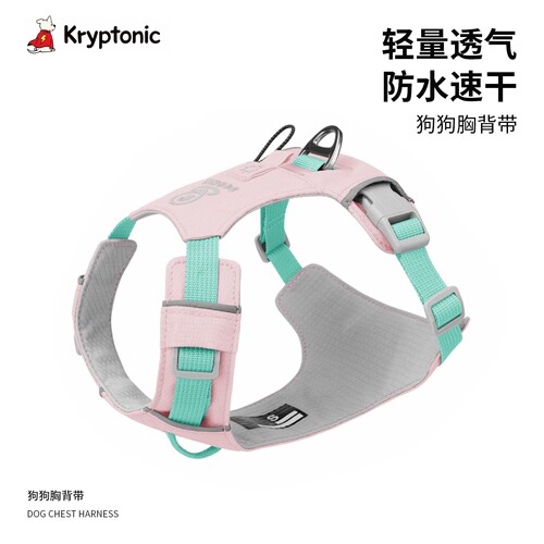 小狗狗胸背带工字型牵引绳