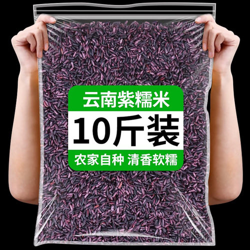 正宗云南紫米新米墨江特产老品种黑米五谷杂粮做饭团粽子血糯米