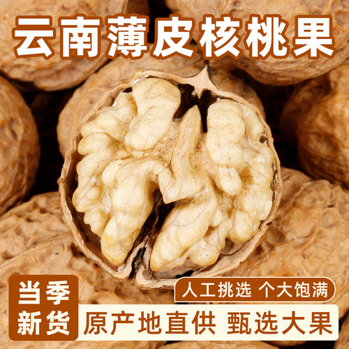 云南纸皮核桃2026新货原味核桃