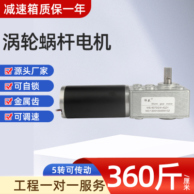 伟盛42ZY涡轮蜗杆直流减速电机12V24V大扭矩低速正反转调速小马达