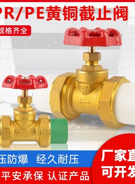PPR截止阀双活接黄铜4分20PE自来水管热熔6分25水截门50开关1寸32