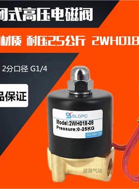 2分高压电磁阀 2WH018-08 常闭高压水阀气阀 AC220V DC24V SLGPC