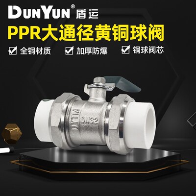 盾运全铜PPR双活接铜球阀4分6分1寸阀门DN20DN25DN32热熔双头活接