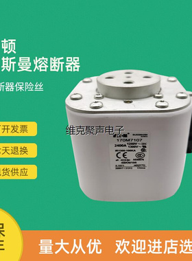 全新快速熔断器保险170M7218 170M7219 170M7220 170M7221