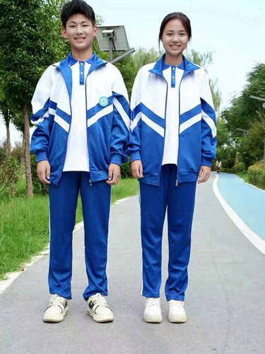 宝蓝色高中生秋季校服套装中学生初中高中生短袖男女运动服校服