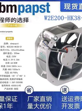 原装德国W2E200-HK/HH38/86-01 07 06 05 03 C01 16 220V机柜风机