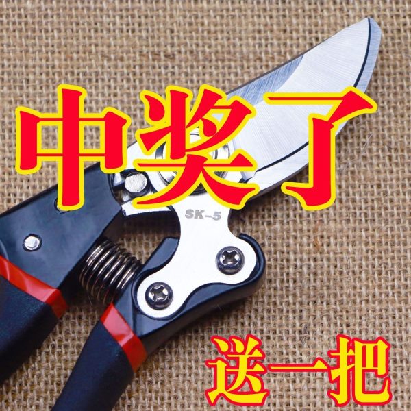 剪进口德国技术日本木果树修水柄修花剪刀园林修枝剪花艺树枝曲柳