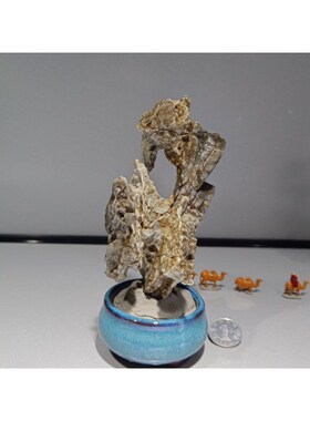 10小风凌石 多款可选 微景山水假山盆景菖蒲鱼缸配景石满50