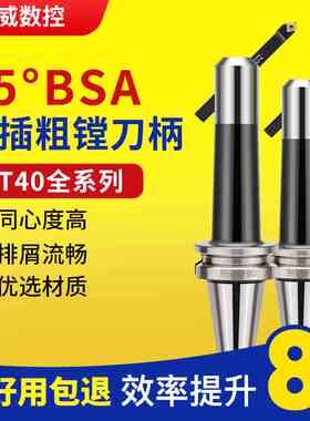 粗镗刀柄斜插BSA90度45度粗镗加工中心BT40-BSA20/25/30/38/42/50