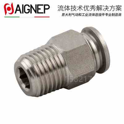意大利安耐AIGNEP 不锈钢316L食品级外锥螺纹直通快插接头 60000