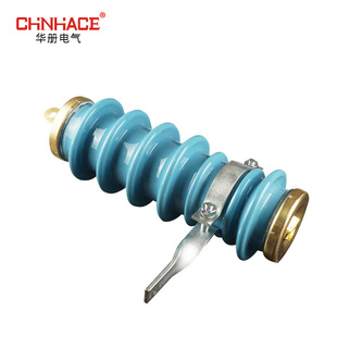 FT户外陶瓷阀式 氧化锌避雷器FS 12KV厂家直 华册Y5WS