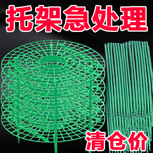 草莓种植架防倒护叶新款