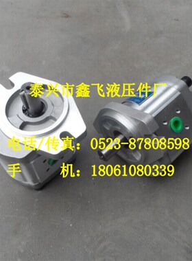 CBK1012 CBK1014 CBK1016 CBK1020 CBK1025齿轮泵B2RF B1RT B1LT