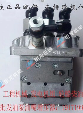 高压喷油泵泵头104207-3011燃油泵F01G09Y024柴油喷射泵