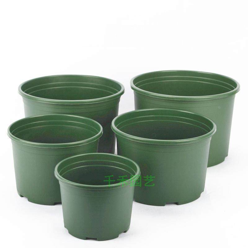 矮胖加仑盆无印花塑料花盆绿萝月季多肉大口径控根绿植透气石斛盆