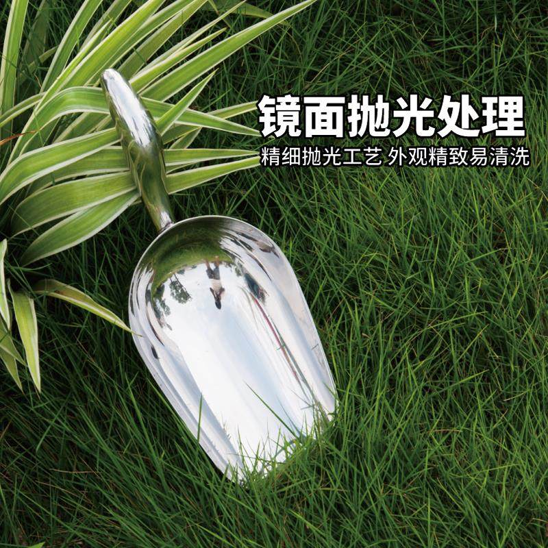 园艺园林工具不锈钢小铲子花铲铁锹铁铲户外养花种花盆栽多肉挖土,鲜花速递/花卉仿真/绿植园艺,洒水/浇水壶,淘宝优惠券,粉丝福利购,淘宝优惠卷