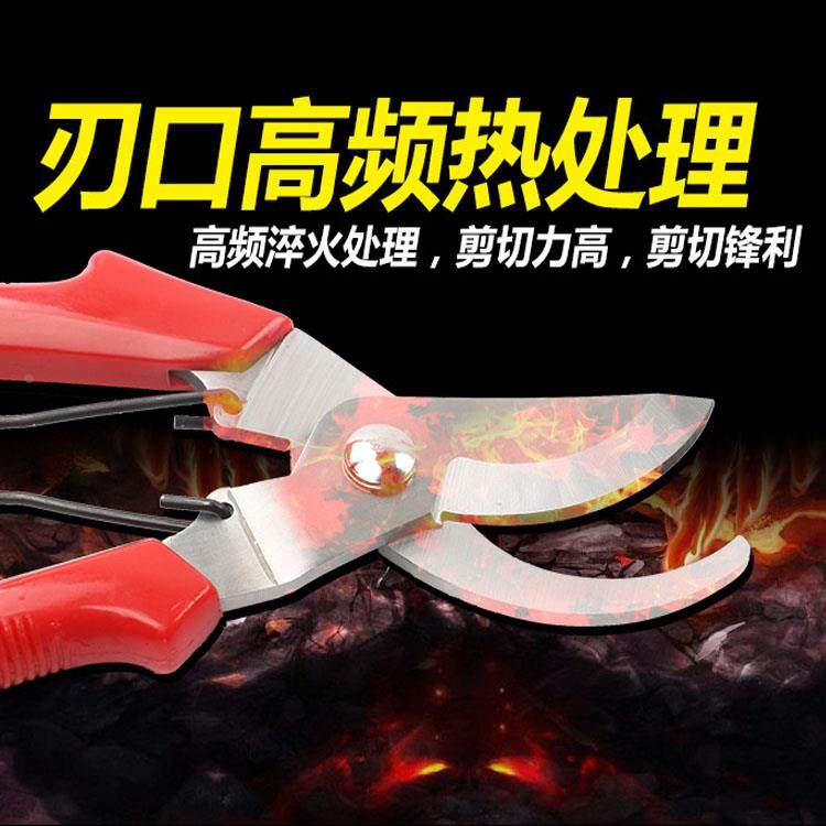 园林不锈钢省力修枝剪树枝修花剪刀粗枝剪园艺工具果树剪子花枝剪