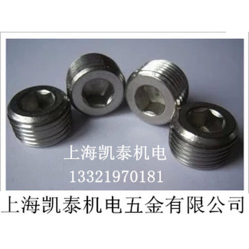 。304不锈钢内六角堵头公制M8M10X1M12 M14X1.5M16M20X1.5 M22 M2