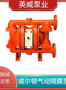 威尔顿气动隔膜泵TZ8/AAAAA/NES/NE/NE/0014 P1/PPPPP/TNU/TF/KTV