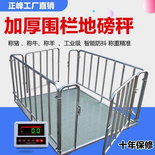 德国地磅秤1-3吨地磅工厂物流称猪牛带围栏小型电子秤 5吨2吨