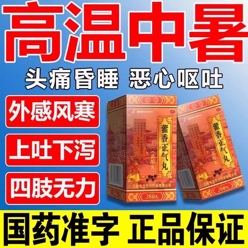 【上龙】藿香正气丸(浓缩丸)380丸*1瓶/盒
