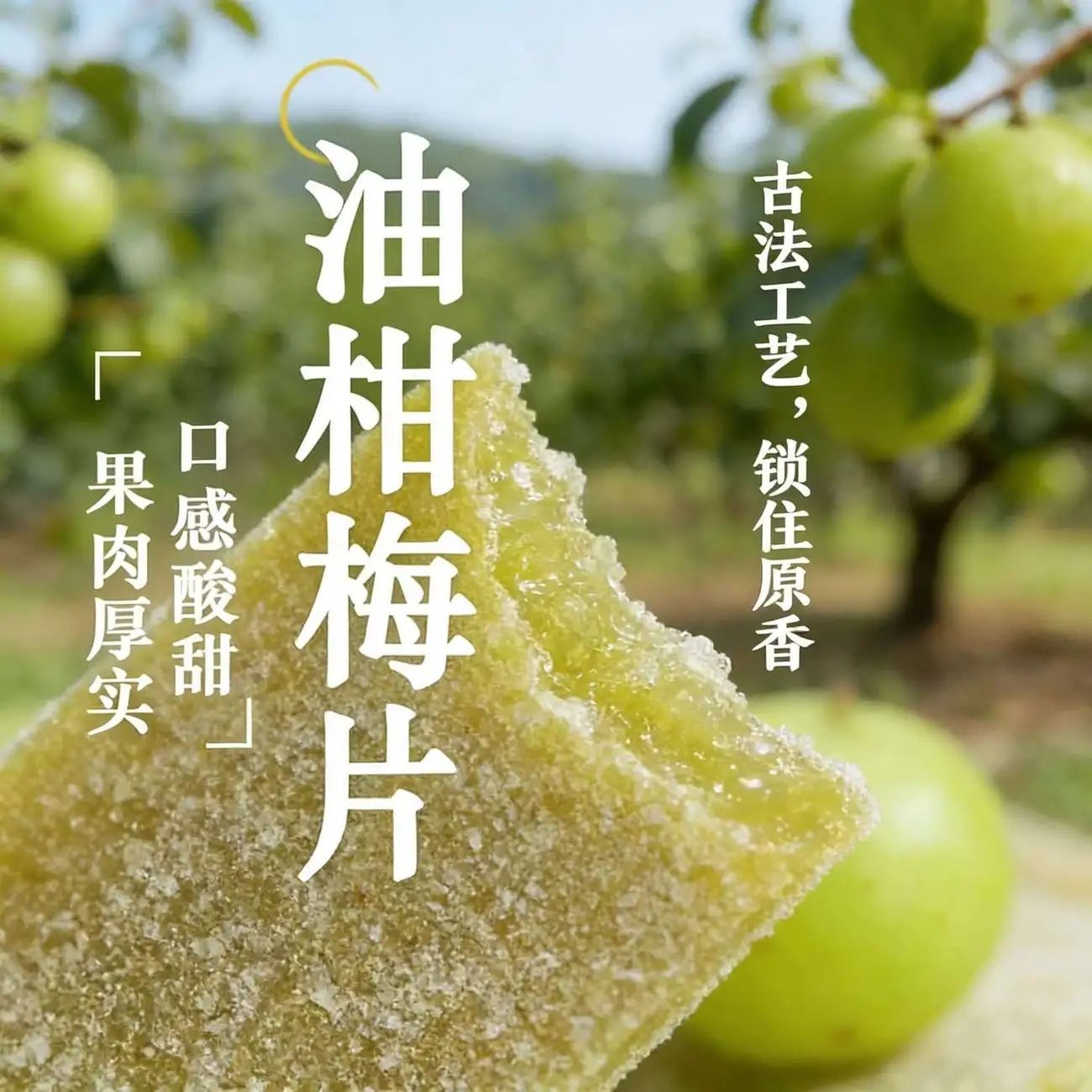 日式0脂肪油柑青梅片原味酸甜解腻休闲甘梅孕妇果脯蜜饯低脂零食