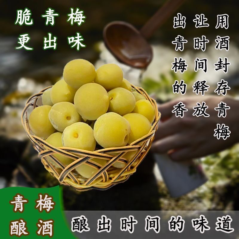 青梅泡酒专用现摘新鲜果腌制半成品省事家庭果酒开胃方便轻加工解腻果干爽口便捷果脯小零食梅子酒精选酸甜简单蜜饯休闲无需处理