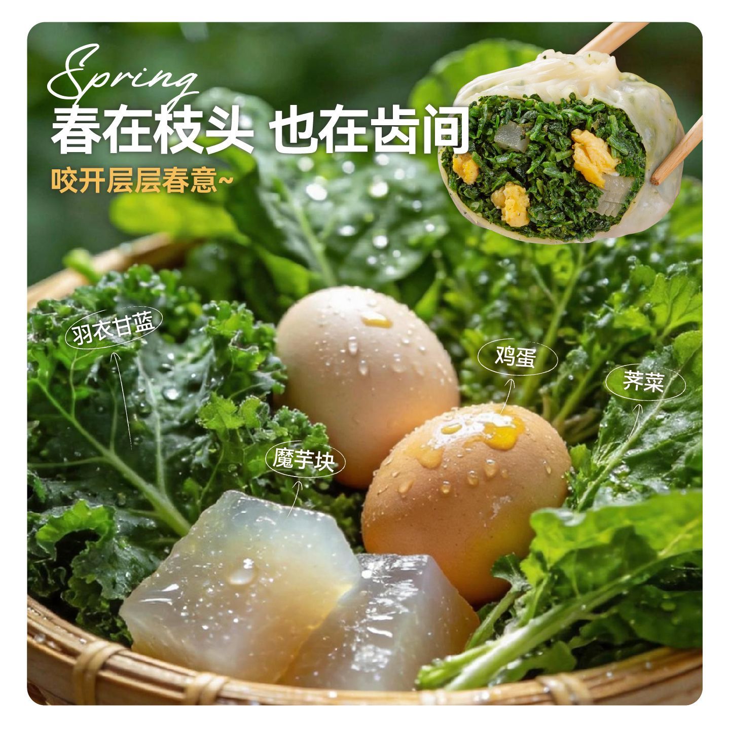 【野人日记】魔芋羽衣甘蓝荠菜纸皮烧麦低脂翡翠烧麦速食早餐冷冻