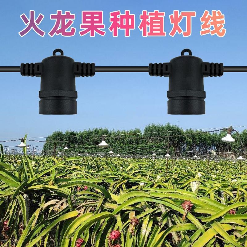 火龙果养殖灯线一体led植物生长补光灯光谱鲜菊花百香果农业大棚