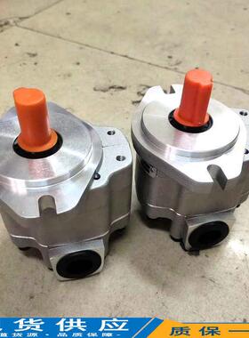 齿轮油泵G5-5/6/8/10/12/16/20/25-1FE13F-20RG5Q-30-1E13F-20-