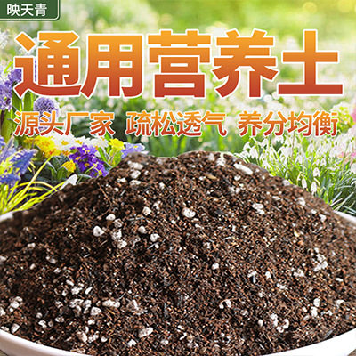 配置加工花卉营养土腐殖土园林绿化土壤土有机质含量高疏松透气