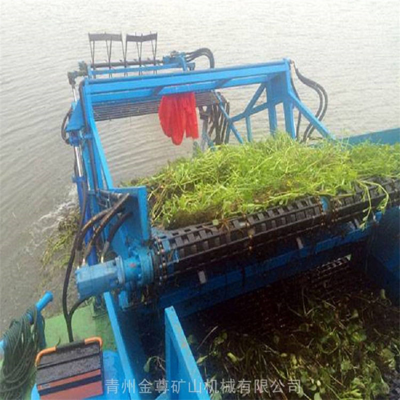 山东小型水葫芦水花生打捞船 湖泊芦苇水草割草船打捞粉碎设备
