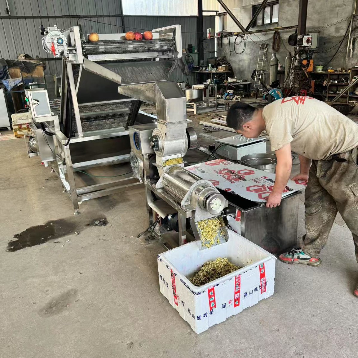 橘子柠檬大型榨汁机 水果破碎工业压榨机 不锈钢释迦果雪梨工业压