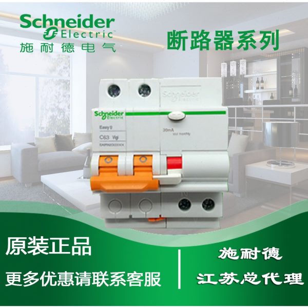 R A916 /2P30断路器类  mA2RN30CA9ACE/ECA16施耐德正品漏电保护A