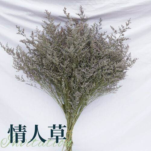 情人草干花花束云南干花称斤卖情人草干花拍摄道具