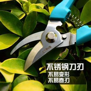 果葡萄粗枝修枝剪剪工具家用盆景果树剪剪刀花木修花花艺园艺剪子