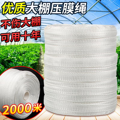 大棚压膜绳抗老化压膜带养殖大棚专用压膜绳子塑料绳子捆绑布丝扁