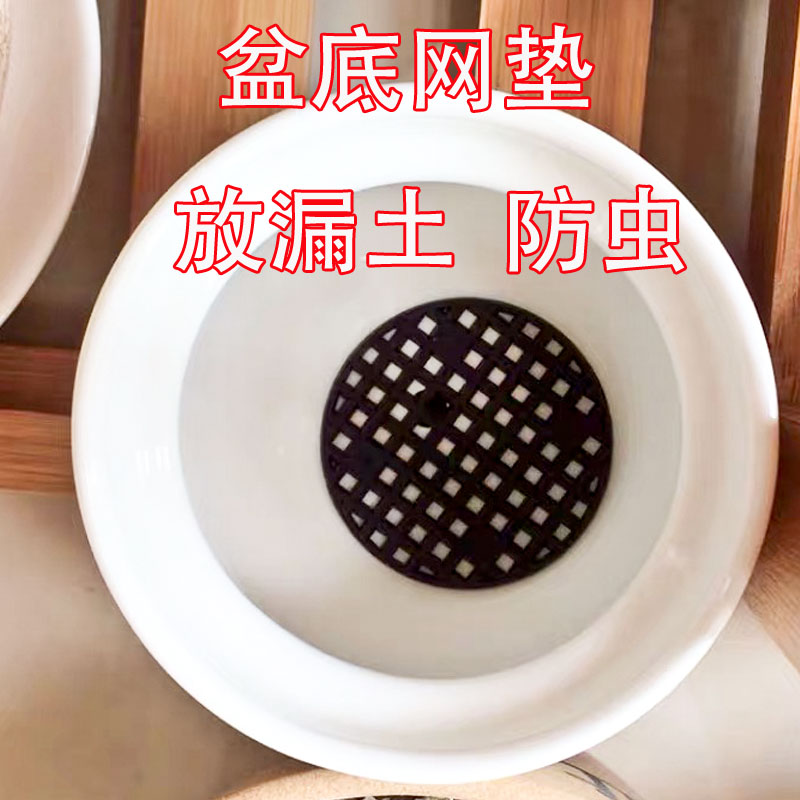 花盆底孔垫网片防漏土防虫圆形塑料网格多肉植物垫底网片排水透气