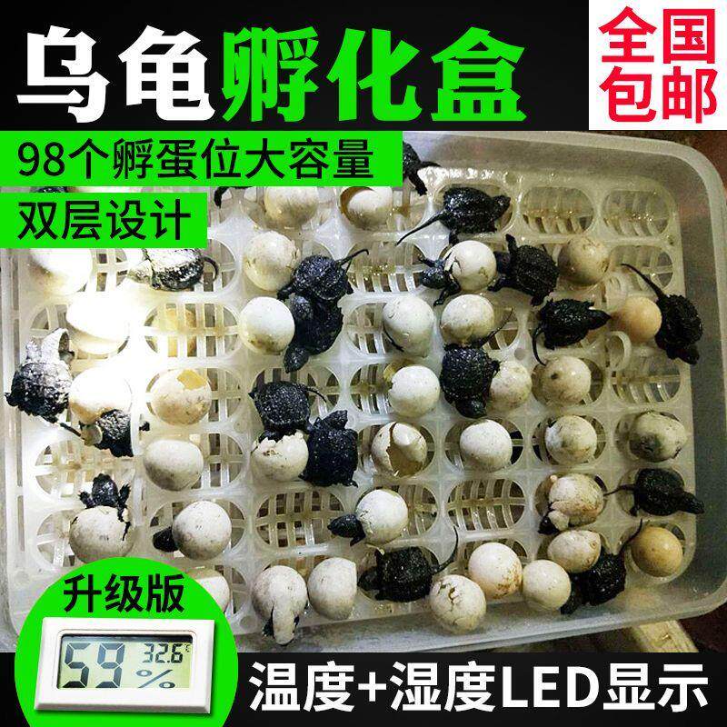 乌龟多功能孵化盒南石蛋无双层孵化盆孵化器水龟陆龟爬宠自然孵化