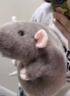 小红书仿真同款花枝鼠大号老鼠毛绒玩具软乎乎玩偶胖嘟嘟可爱仿真