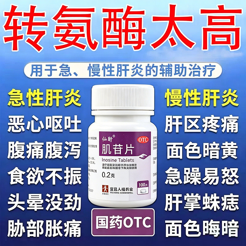 转氨酶高吃什么药肌苷片排毒护肝养肝脂肪肝修复肝损伤肝炎专用药