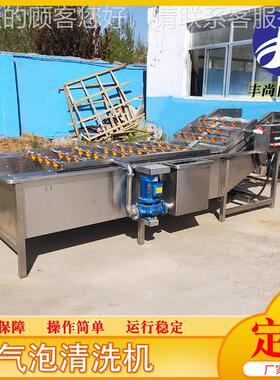 连续式木耳清高洗机清压气泡喷淋MHQ式银耳清洗香菇气泡机洗设备